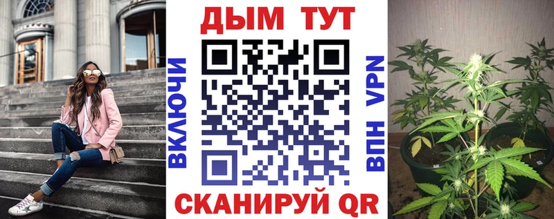Бошки Шишки марихуана  Дмитровск 
